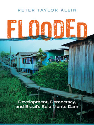 cover image of Flooded